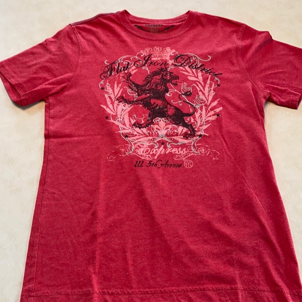 EXPRESS “Flat Iron District” graphic t-shirt